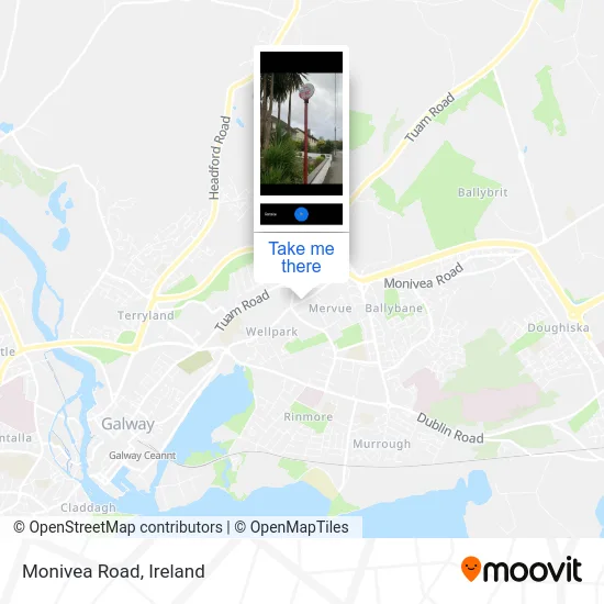 Monivea Road map