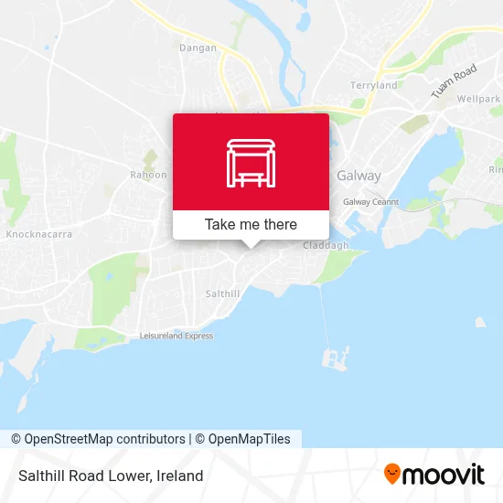 Salthill Road Lower map