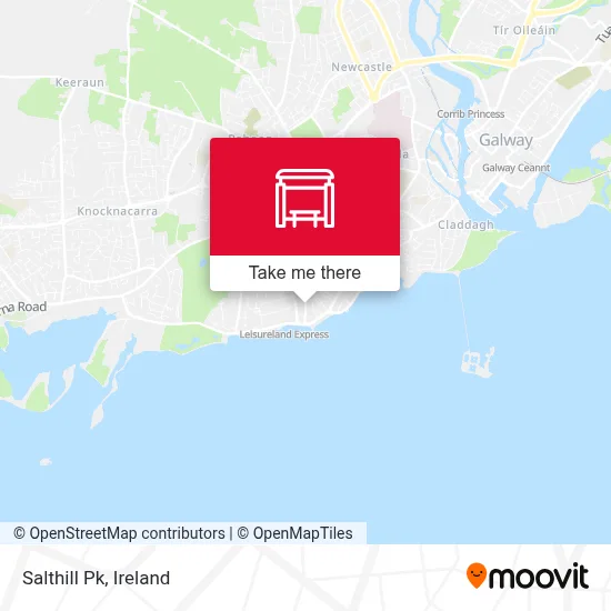 Salthill Pk map