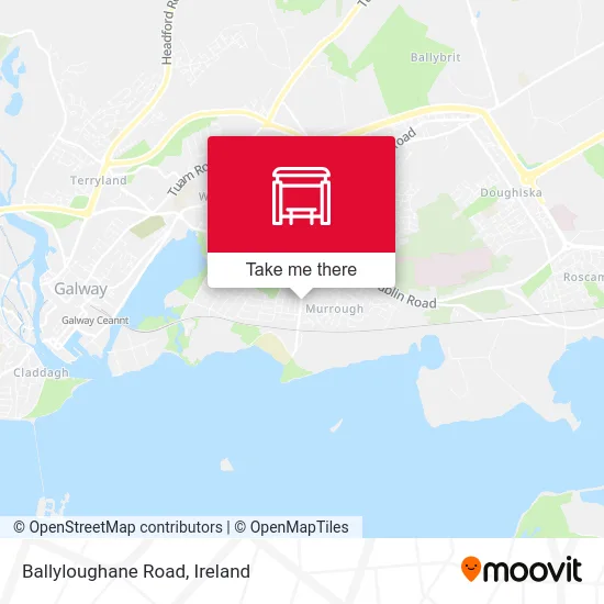Ballyloughane Road map