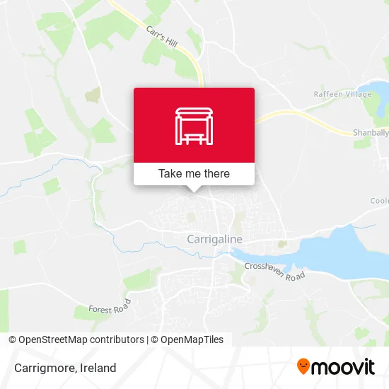 Carrigmore map