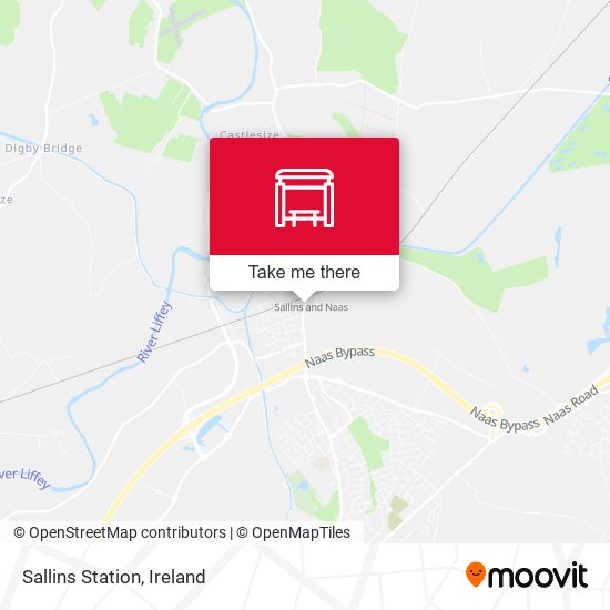 Sallins Station map