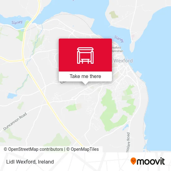 Lidl Wexford map