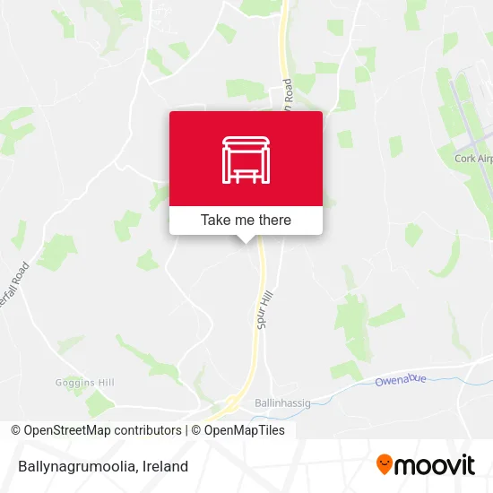 Ballynagrumoolia map