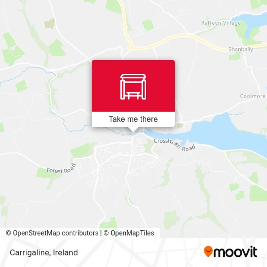 Carrigaline map