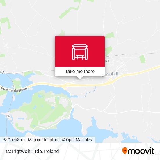 Carrigtwohill Ida map