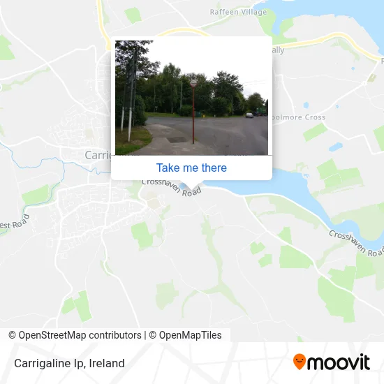 Carrigaline Ip map
