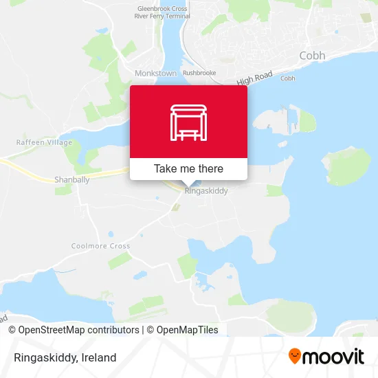 Ringaskiddy map