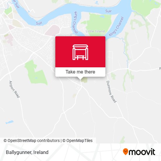 Ballygunner map