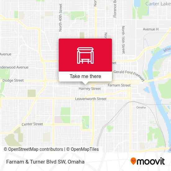 Farnam & Turner Blvd SW map