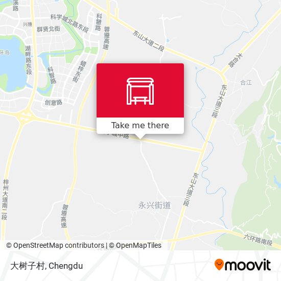 大树子村 map