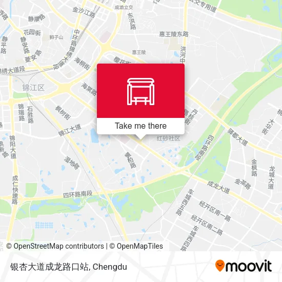 银杏大道成龙路口站 map
