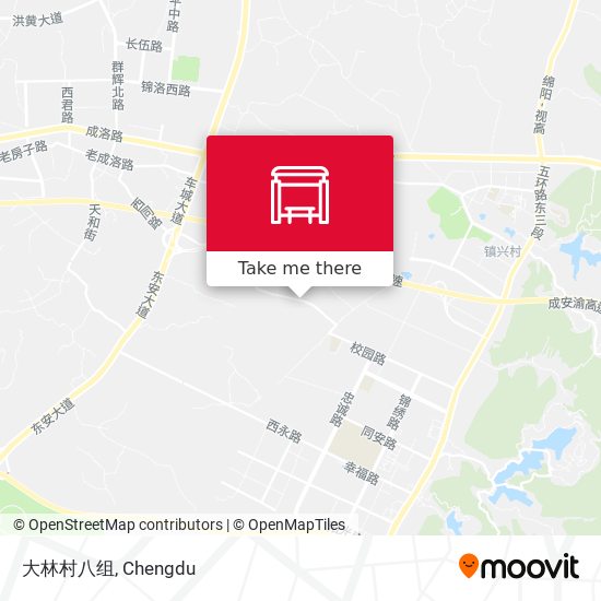 大林村八组 map