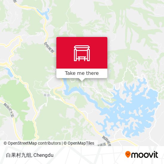 白果村九组 map