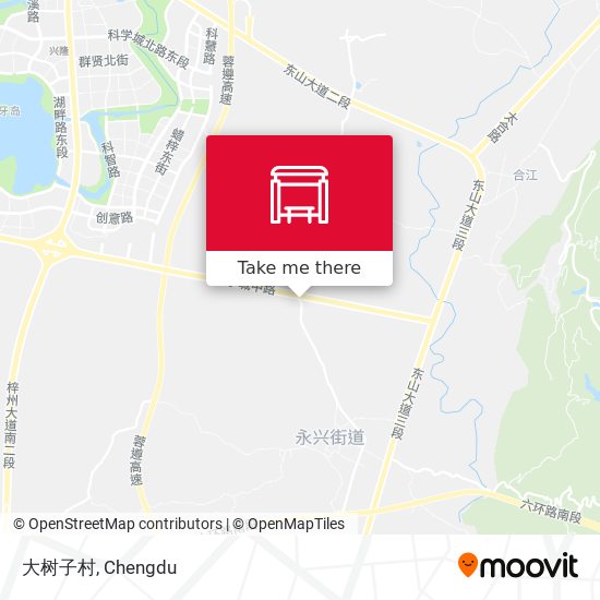 大树子村 map