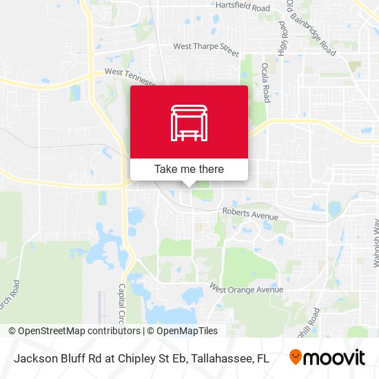 Jackson Bluff Rd at Chipley St Eb map