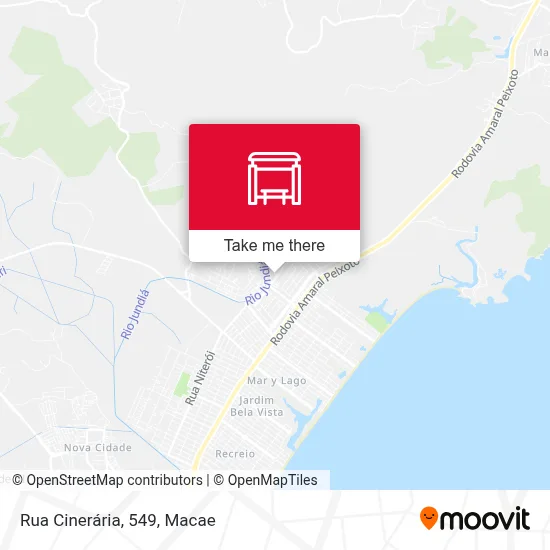 Rua Cinerária, 549 map