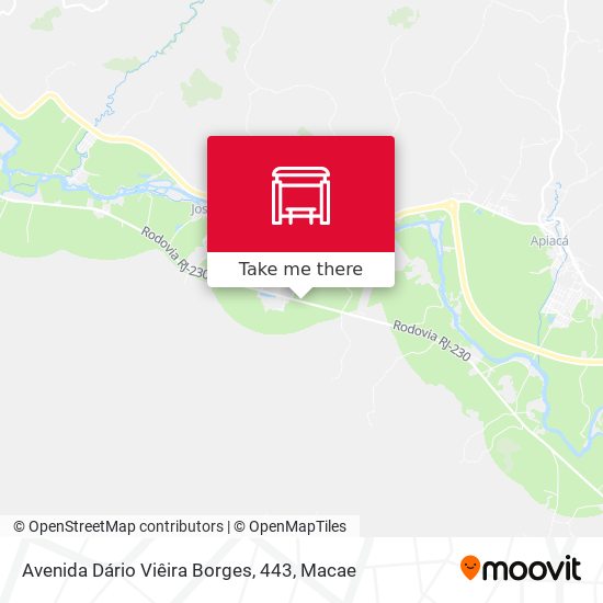 Avenida Dário Viêira Borges, 443 map