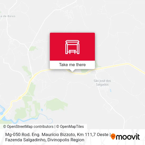 Mg-050 Rod. Eng. Maurício Bizzoto, Km 111,7 Oeste | Fazenda Salgadinho map