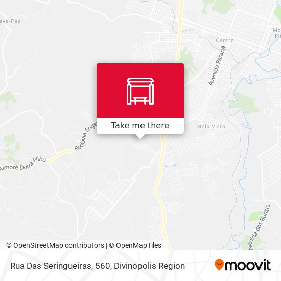 Rua Das Seringueiras, 560 map