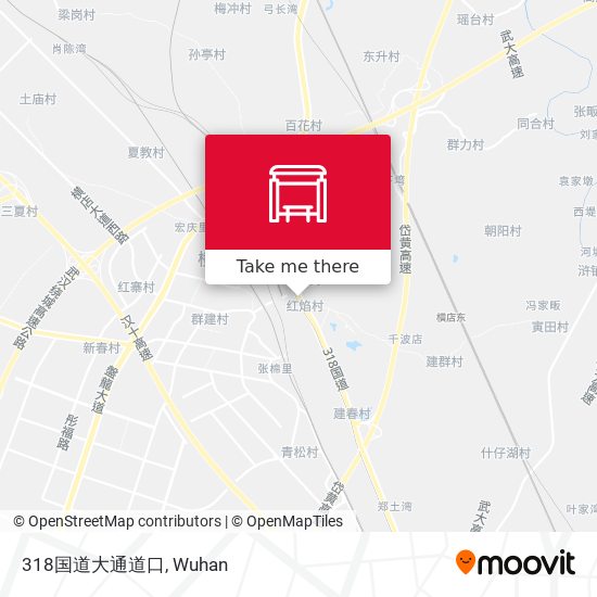 318国道大通道口 map