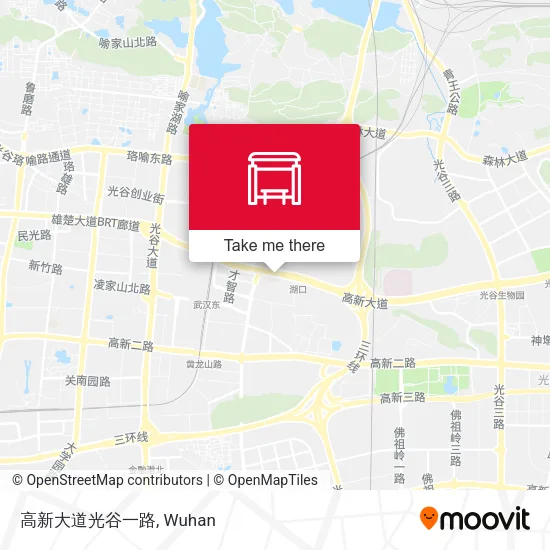 高新大道光谷一路 map