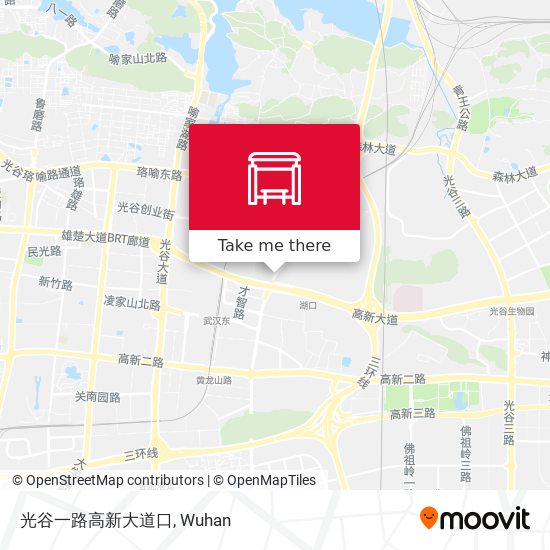 光谷一路高新大道口 map
