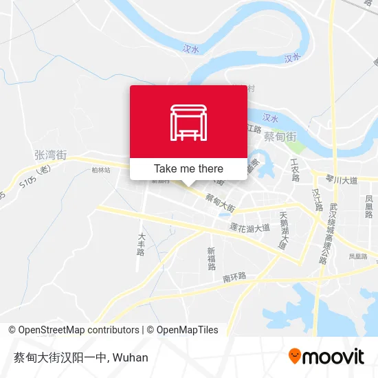 蔡甸大街汉阳一中 map