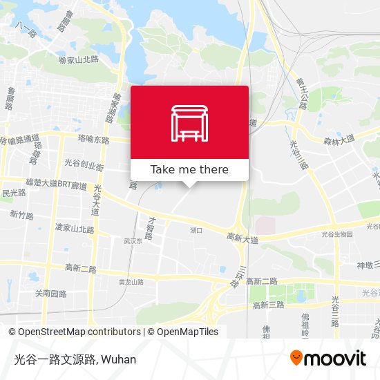光谷一路文源路 map
