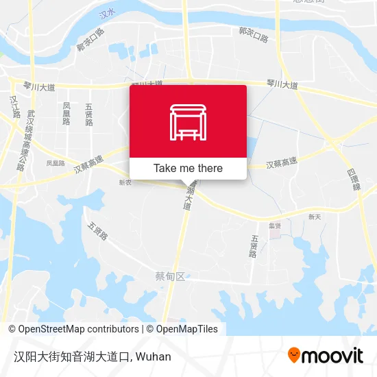 汉阳大街知音湖大道口 map