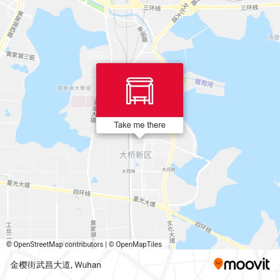 金樱街武昌大道 map