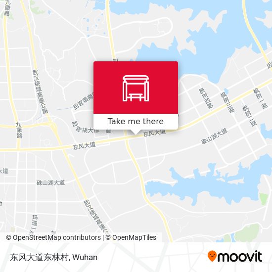 东风大道东林村 map