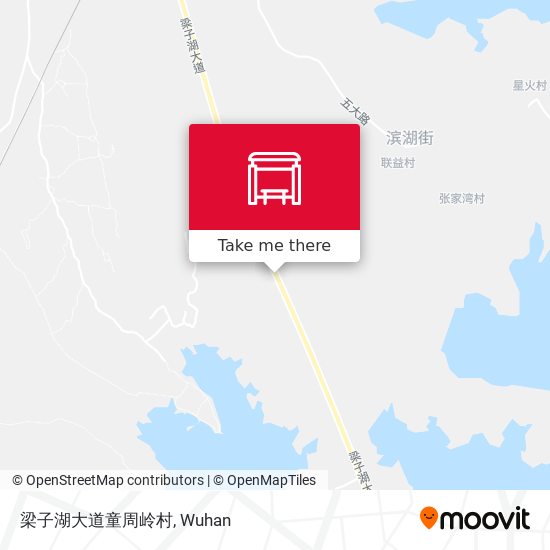 梁子湖大道童周岭村 map