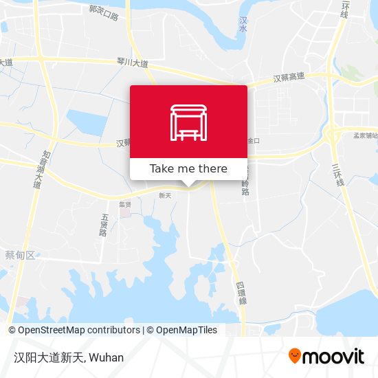 汉阳大道新天 map