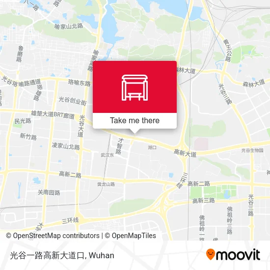 光谷一路高新大道口 map
