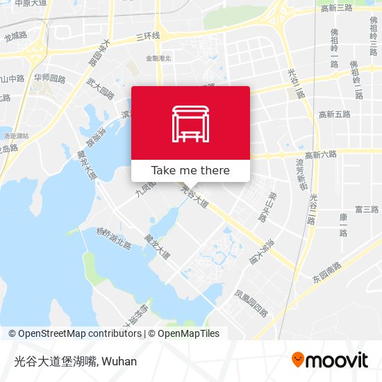 光谷大道堡湖嘴 map