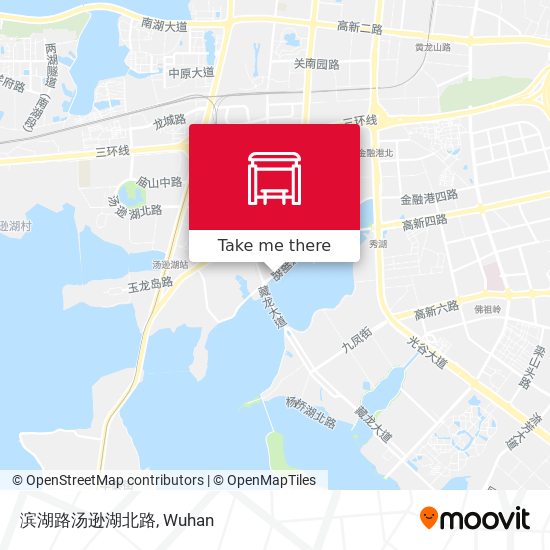 滨湖路汤逊湖北路 map