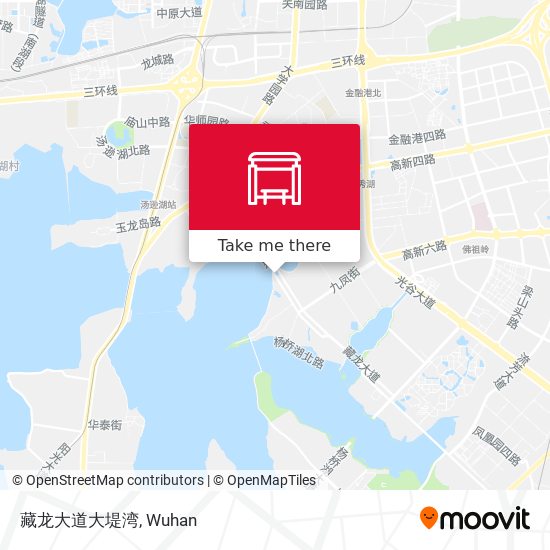 藏龙大道大堤湾 map