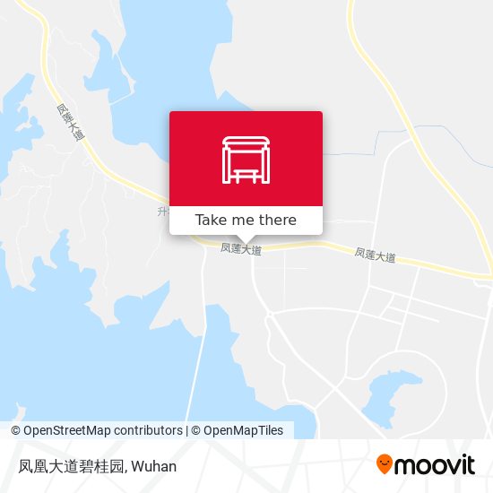凤凰大道碧桂园 map