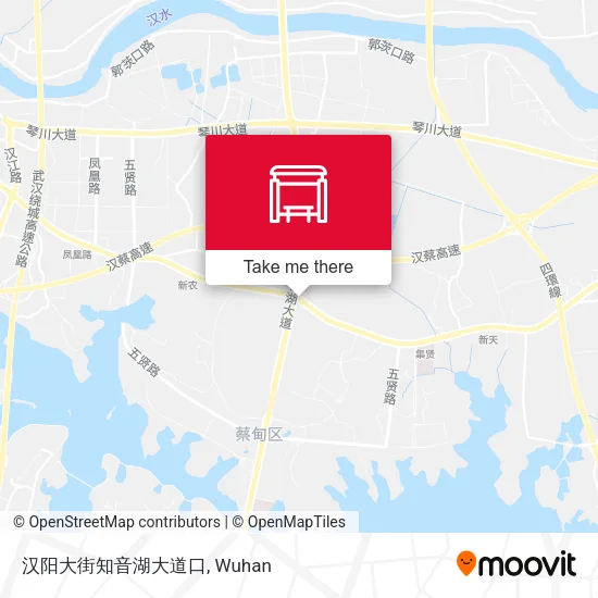 汉阳大街知音湖大道口 map