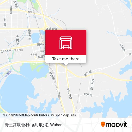青王路联合村(临时取消) map