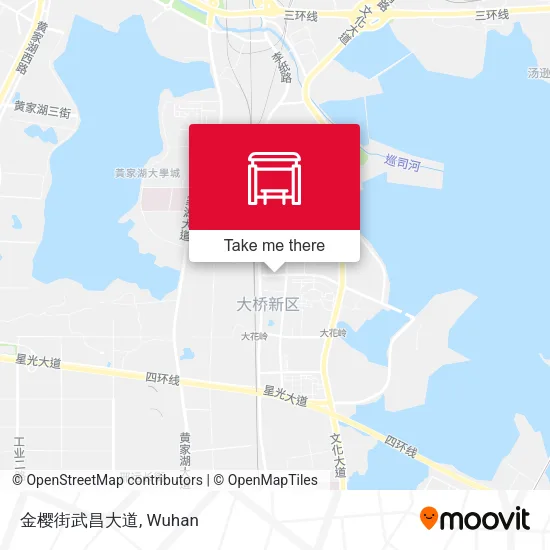 金樱街武昌大道 map