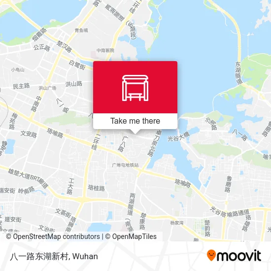 八一路东湖新村 map