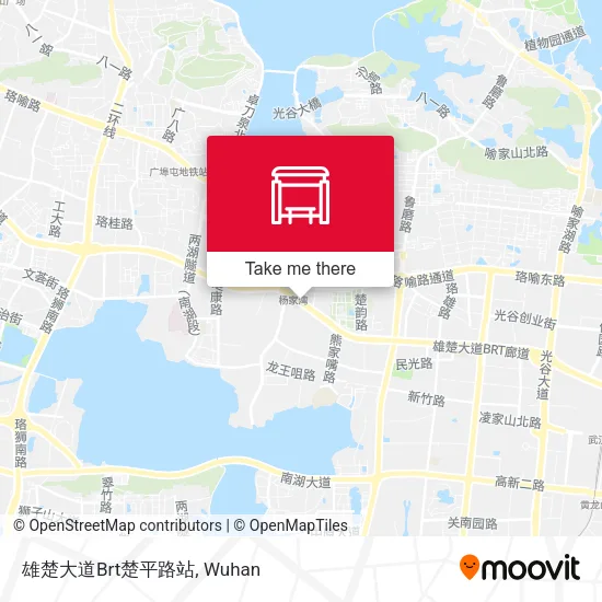 雄楚大道Brt楚平路站 map