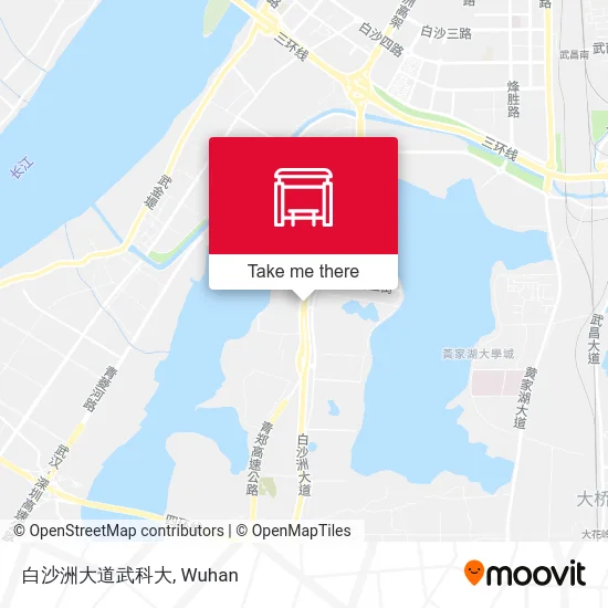 白沙洲大道武科大 map