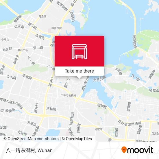 八一路东湖村 map