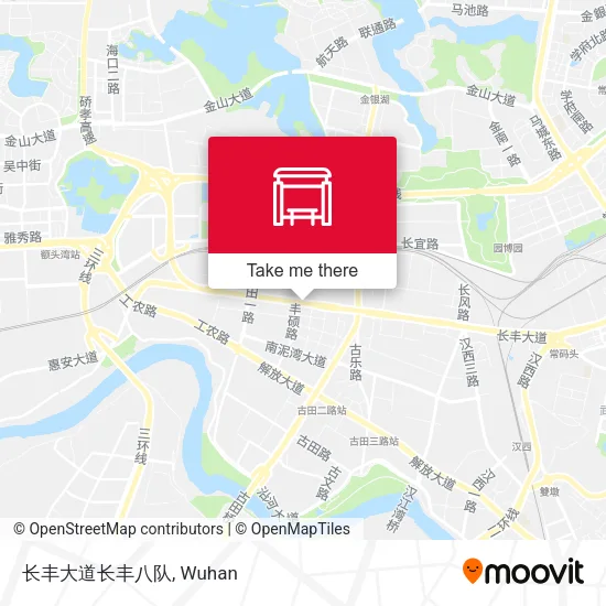 长丰大道长丰八队 map