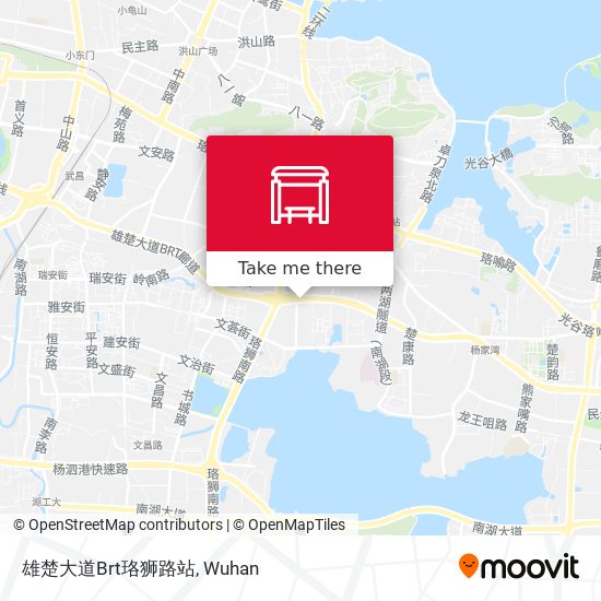 雄楚大道Brt珞狮路站 map