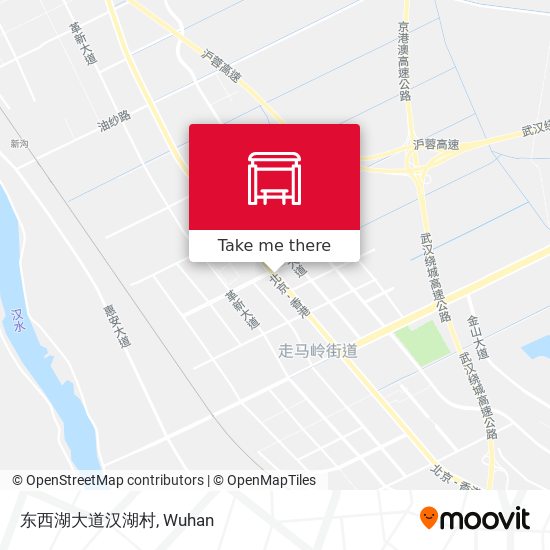 东西湖大道汉湖村 map