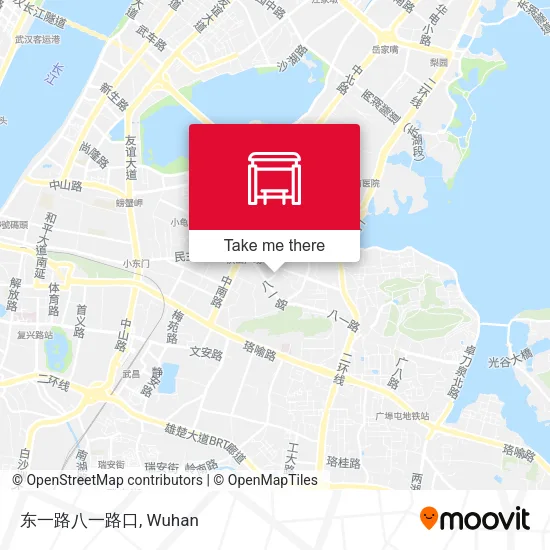 东一路八一路口 map